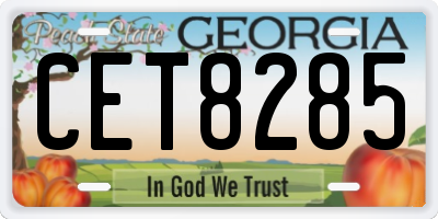 GA license plate CET8285