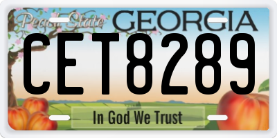 GA license plate CET8289