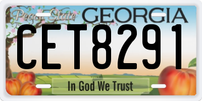 GA license plate CET8291