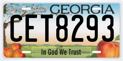 GA license plate CET8293