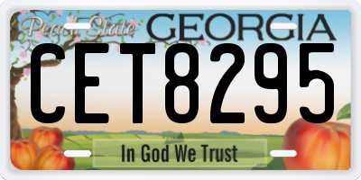 GA license plate CET8295