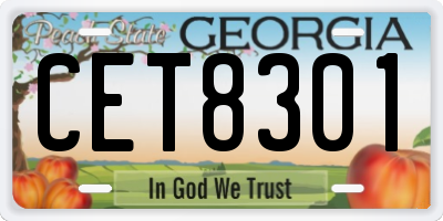 GA license plate CET8301