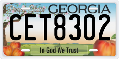 GA license plate CET8302