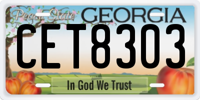 GA license plate CET8303
