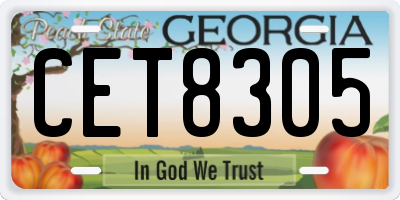 GA license plate CET8305