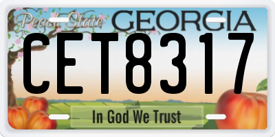 GA license plate CET8317
