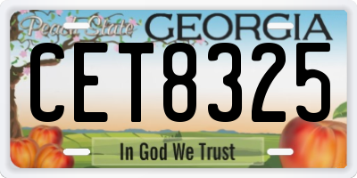 GA license plate CET8325