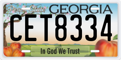 GA license plate CET8334