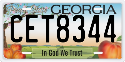 GA license plate CET8344