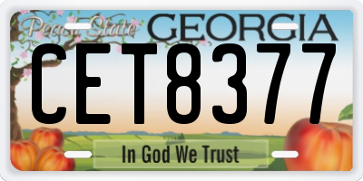 GA license plate CET8377