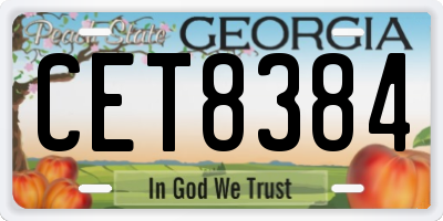 GA license plate CET8384