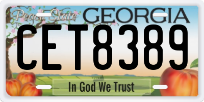 GA license plate CET8389