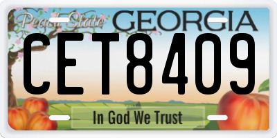 GA license plate CET8409