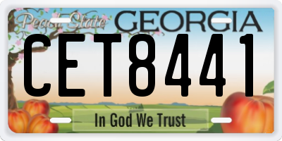 GA license plate CET8441