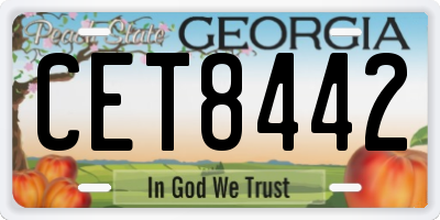 GA license plate CET8442