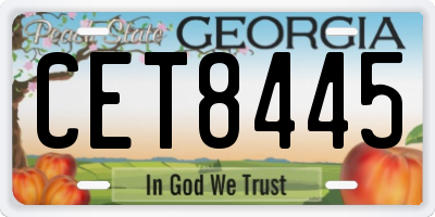 GA license plate CET8445