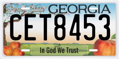 GA license plate CET8453