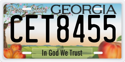 GA license plate CET8455