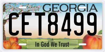 GA license plate CET8499