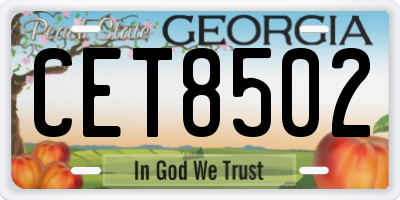 GA license plate CET8502
