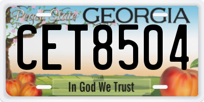 GA license plate CET8504