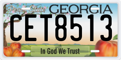 GA license plate CET8513