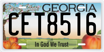 GA license plate CET8516