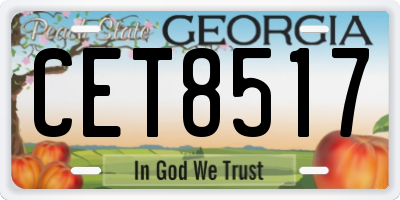 GA license plate CET8517