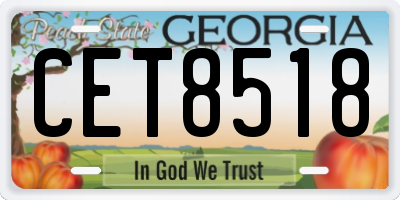 GA license plate CET8518
