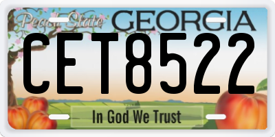 GA license plate CET8522