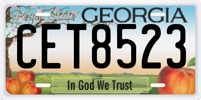GA license plate CET8523