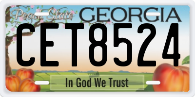 GA license plate CET8524