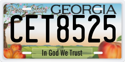 GA license plate CET8525