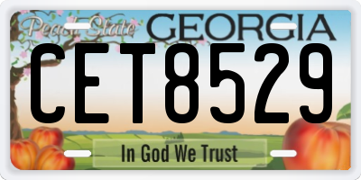 GA license plate CET8529