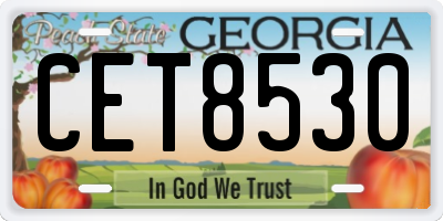 GA license plate CET8530