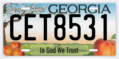 GA license plate CET8531