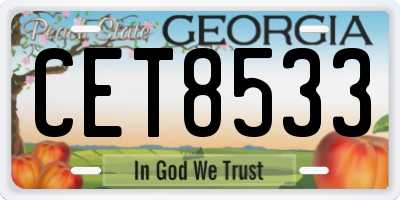 GA license plate CET8533