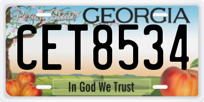 GA license plate CET8534