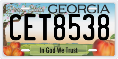 GA license plate CET8538