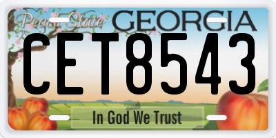 GA license plate CET8543