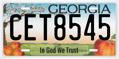 GA license plate CET8545