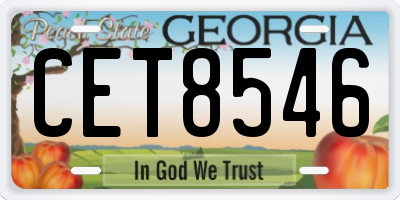GA license plate CET8546