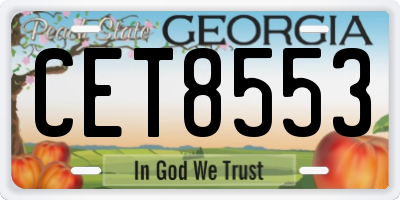 GA license plate CET8553
