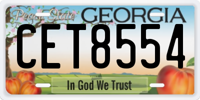 GA license plate CET8554