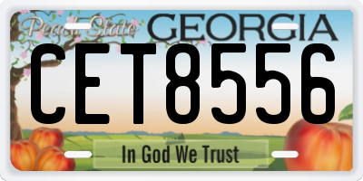 GA license plate CET8556