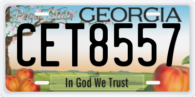 GA license plate CET8557