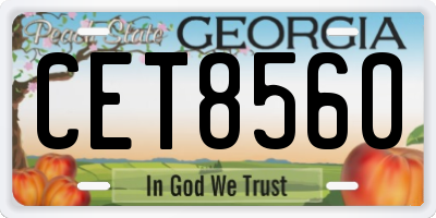GA license plate CET8560