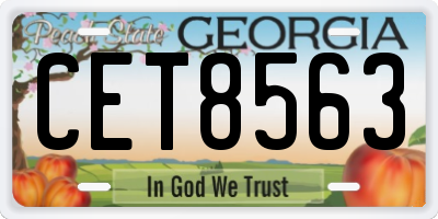 GA license plate CET8563