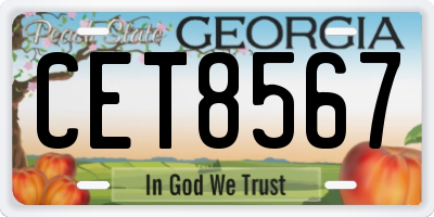 GA license plate CET8567