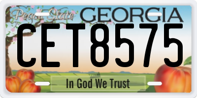 GA license plate CET8575